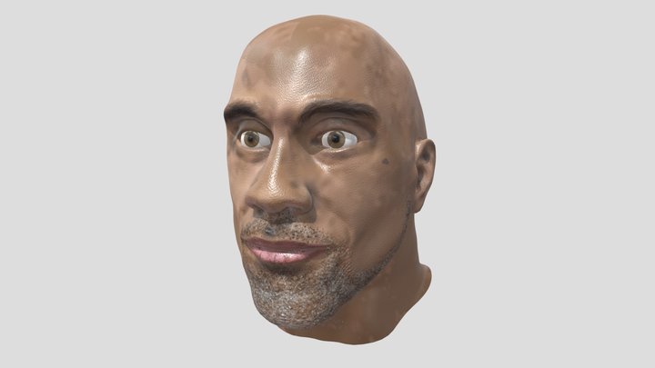 The Rock Bust (Dwayne Johnson) 3D Model