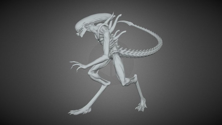 Alien Xenomorph 3D Model