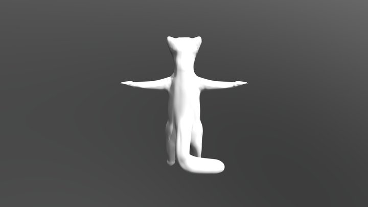 Ferret 3D Model