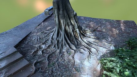 Big Roots 3D Model