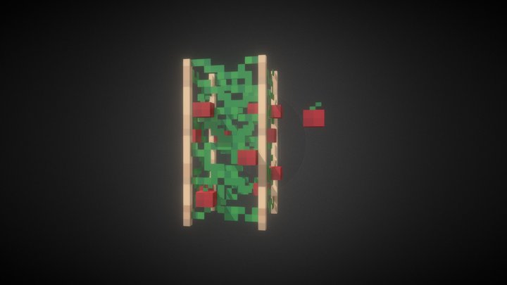 Tomato 3D Model