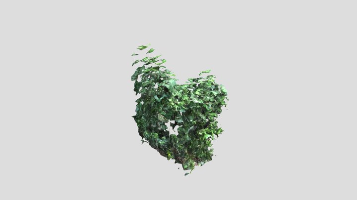 Plant 3D Model