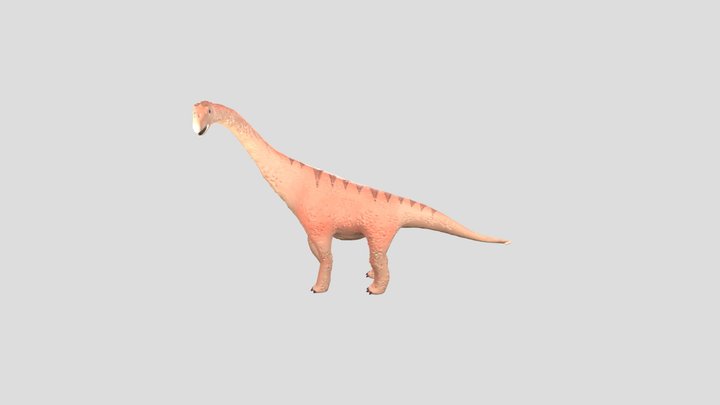 Diplodocus carnegii 3D Model