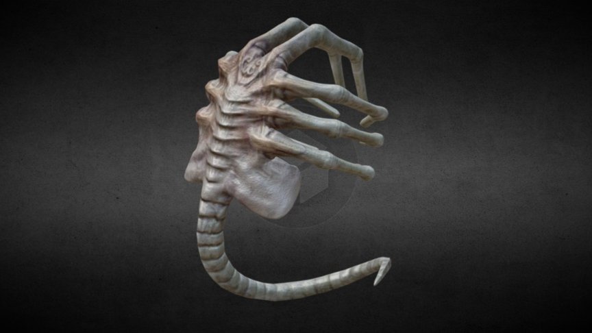 Face Hugger WIP