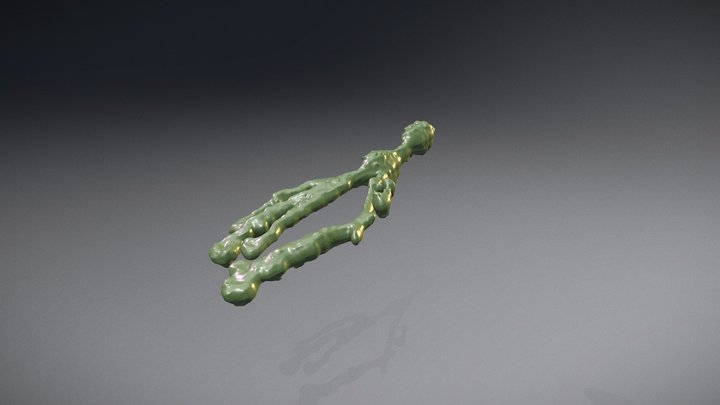 cloaking macrophage 3D Model