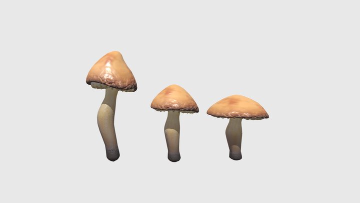 Tall mushrooms 3D Model