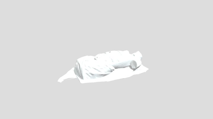 Anatomical_Model 3D Model