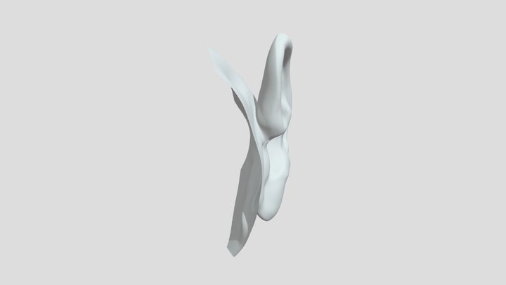 ear1 3D Model