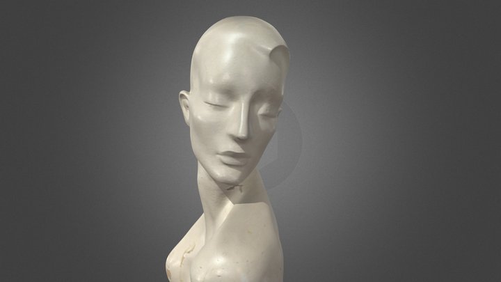 Bust Model 3D Model