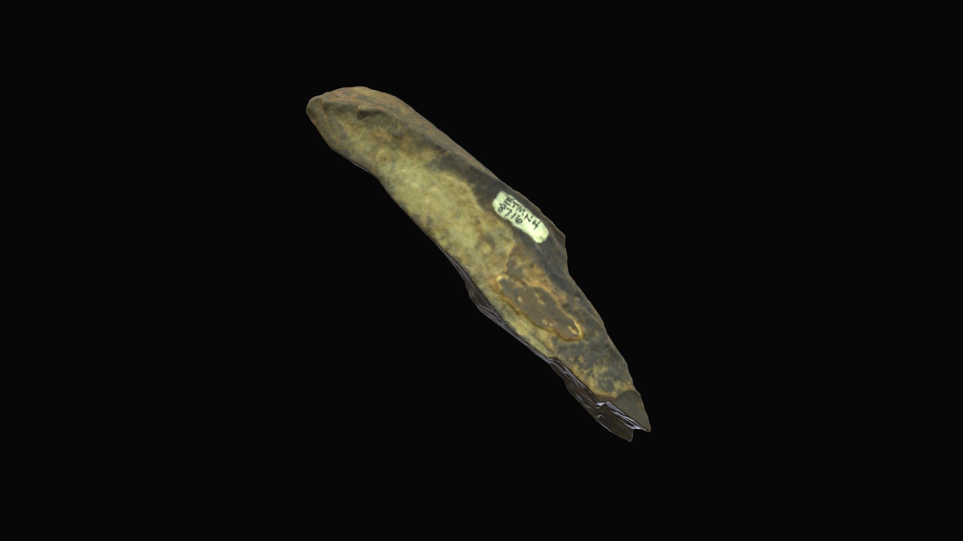 Proboscidean, tusk ivory. Gray Fossil Site, TN.