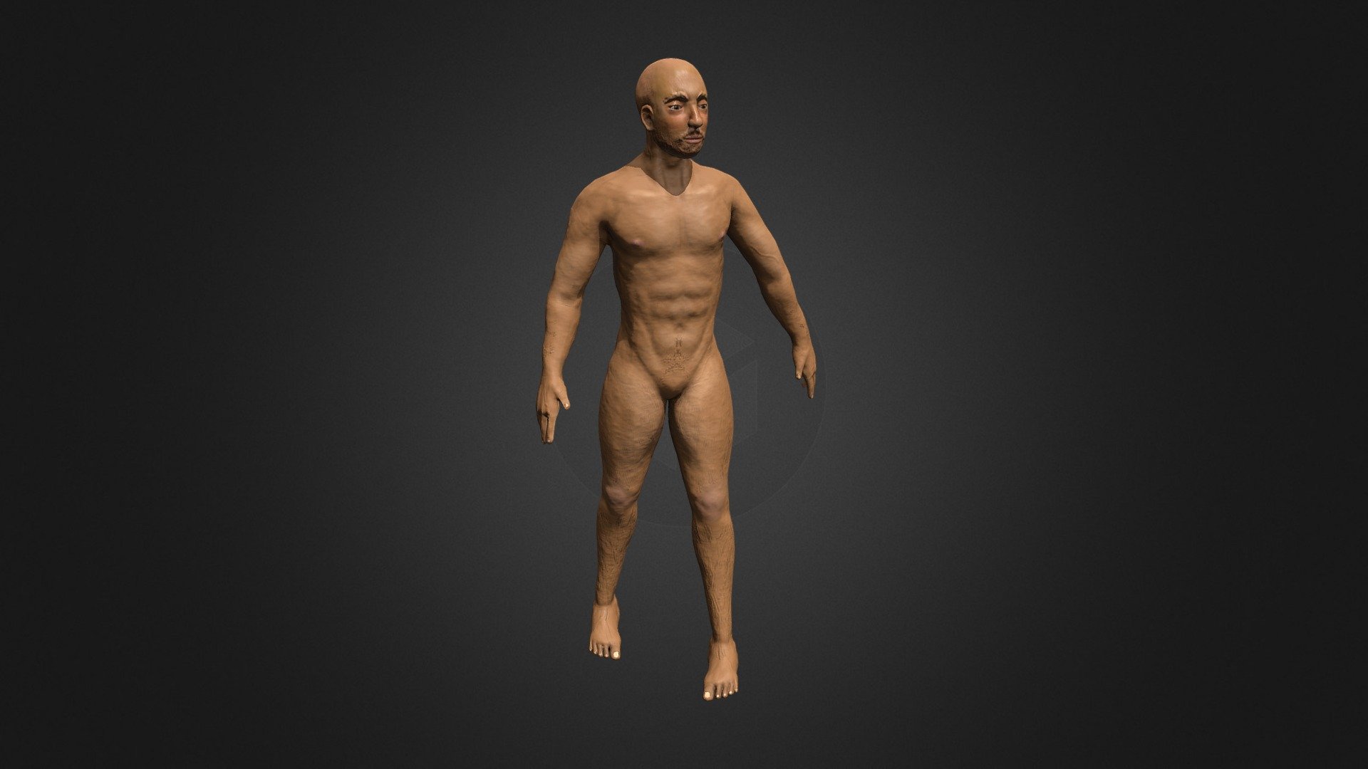 Full figure body
