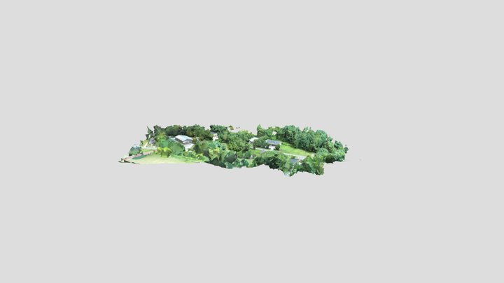 Pure Intentions 3D Model