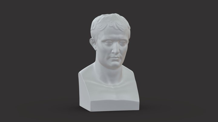 001246 bust of Napoleon 3dp