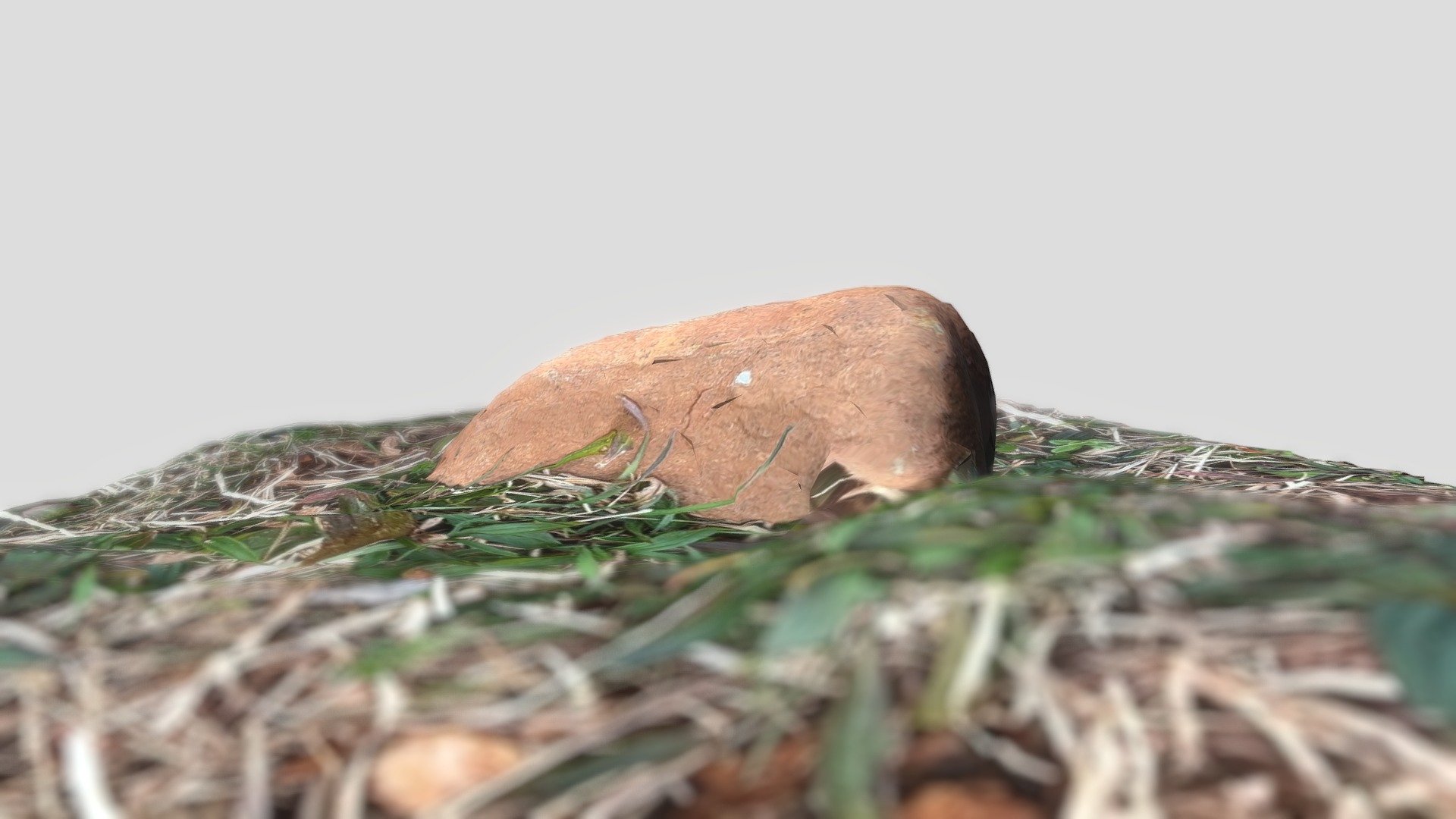 Scanned Rock