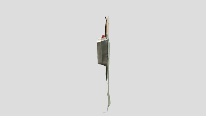 on the wall 3D Model