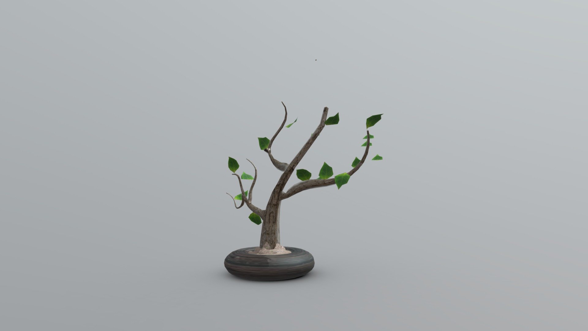 week 8 plant