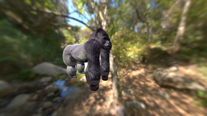 Silverback Gorilla (Smoothie-3D upload) 3D Model