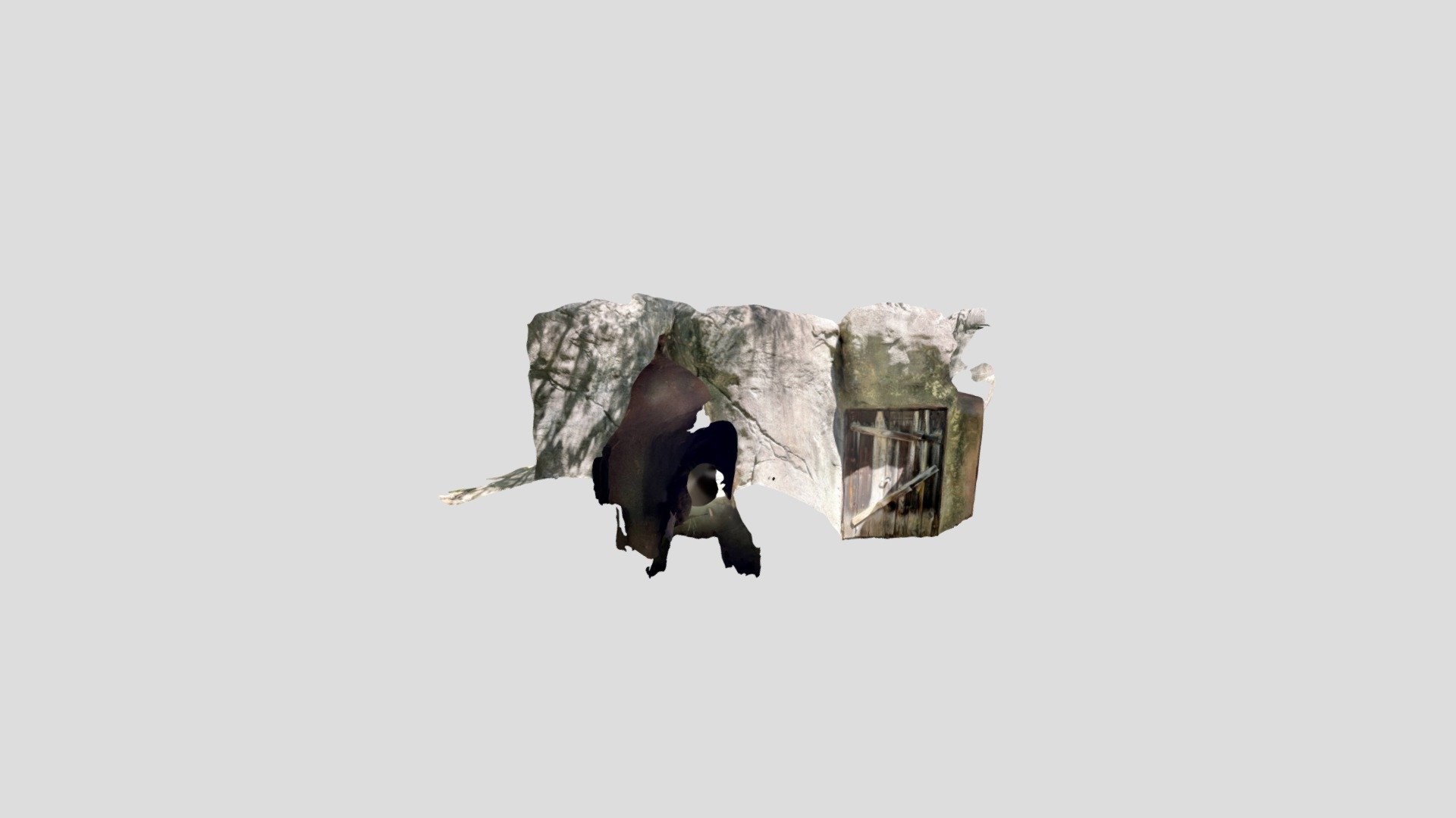 Cave Door
