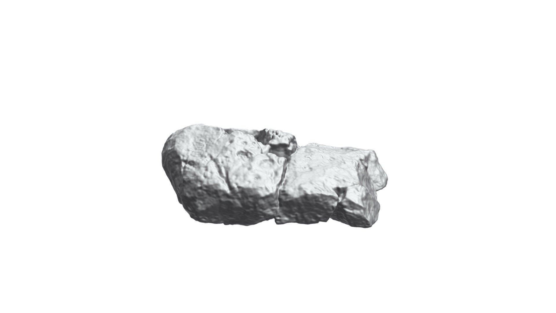 UMNHVP28351 Invictarx Medial CR-PR - Download Free 3D model by ...