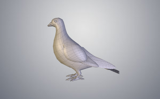 pigeon wireframe 3D Model