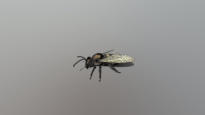 Bee 3D Model