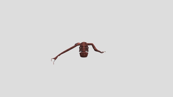 animation_marche_export 3D Model