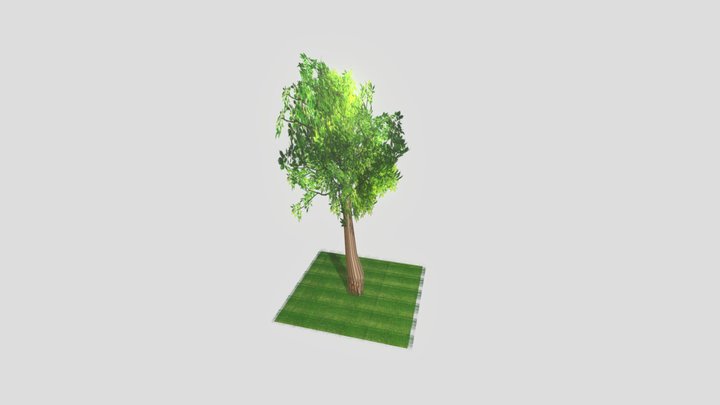 Basit Ağaç modeli 3D Model