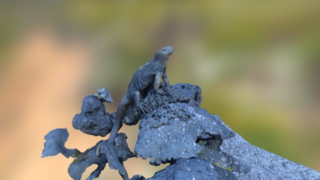Iguana from Galápagos Islands 3D Model