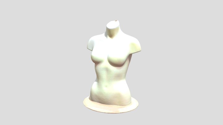 Female torso - custom tailor's mannequin 3d scan 3D Model