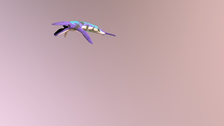 FolderExamFinal_259755_SF_Whale 3D Model