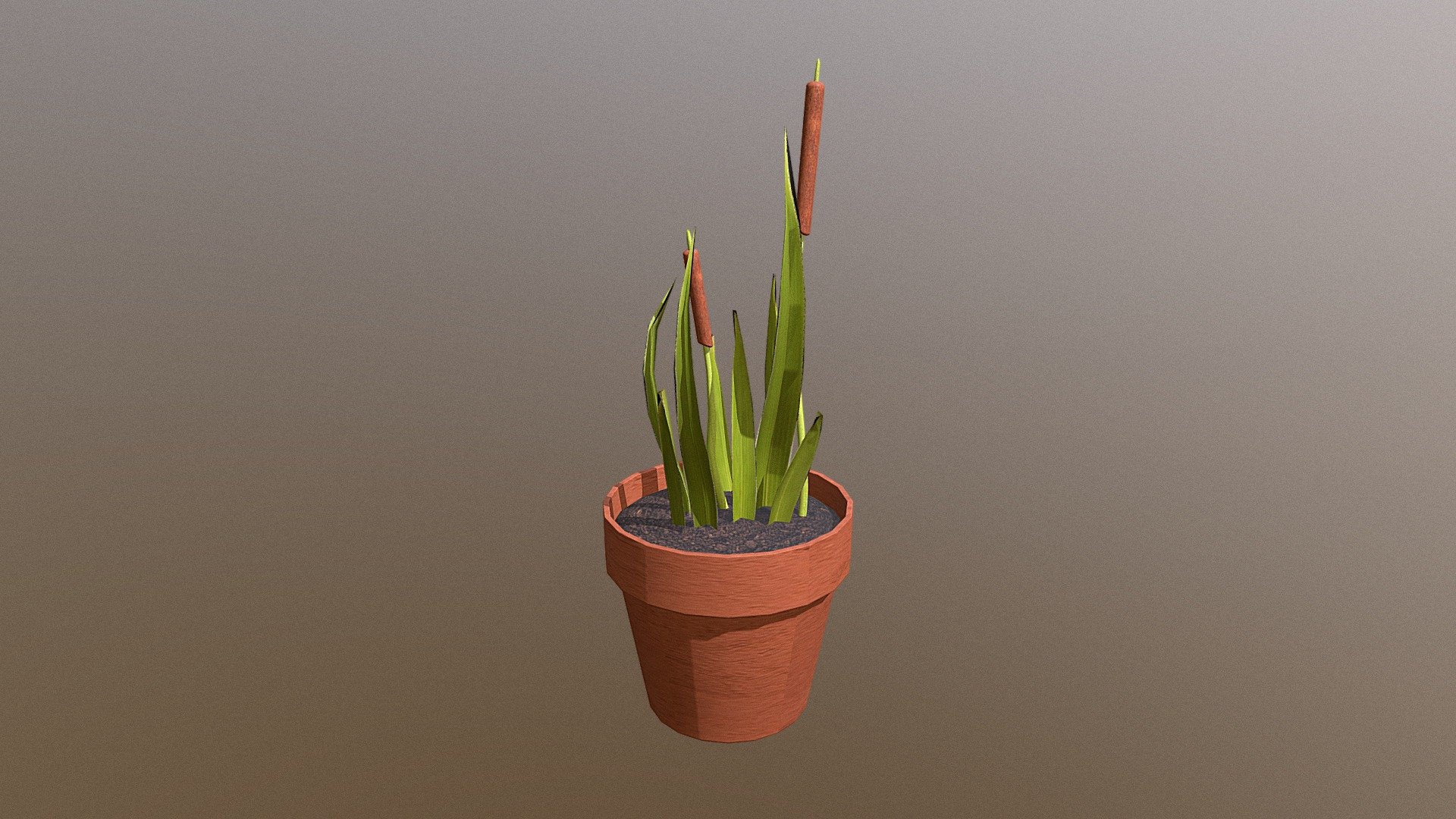Cattails Model