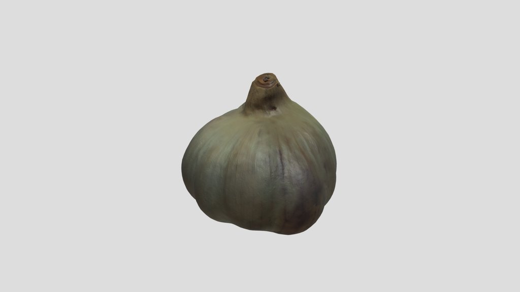 White Garlic