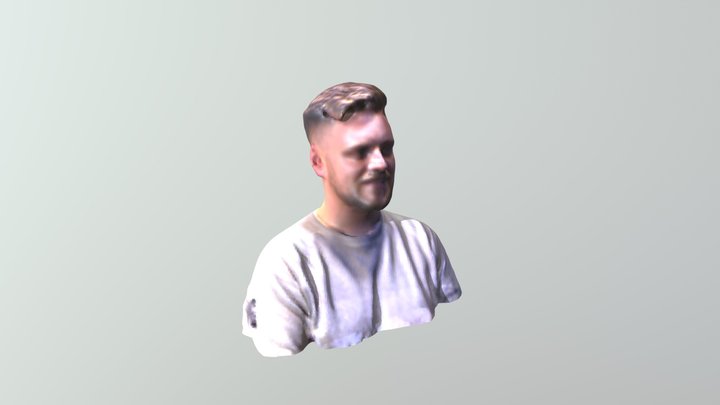 Mark Murphy 3D Scan Bust Coloured 3D Model