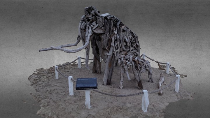 Royal Bay Mammoth 3D Model