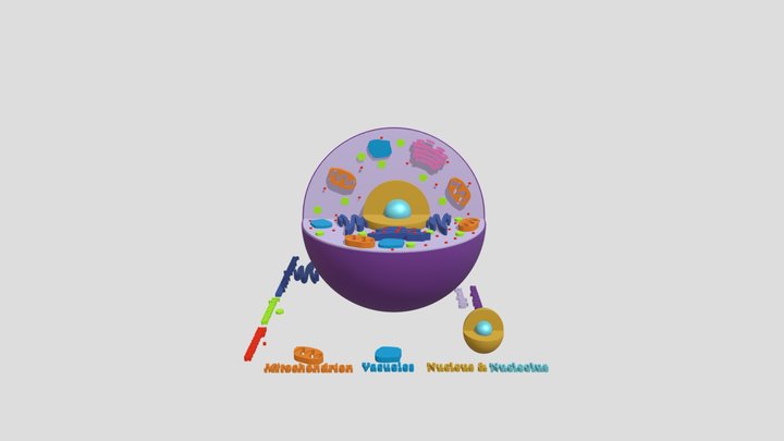 Labelled 3D models - Sketchfab