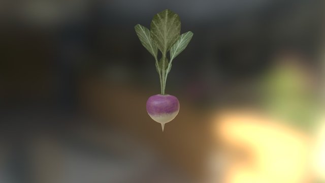 SM_Turnip_JT 3D Model