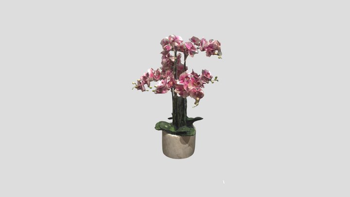 Pink Flowers 3D Model