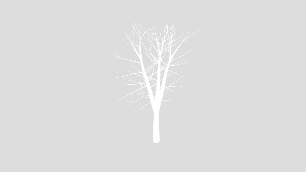 Burnt Tree