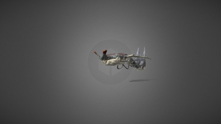 Tulkun Swimming Loop 3D Model