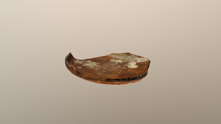 New Qlone 3D Model