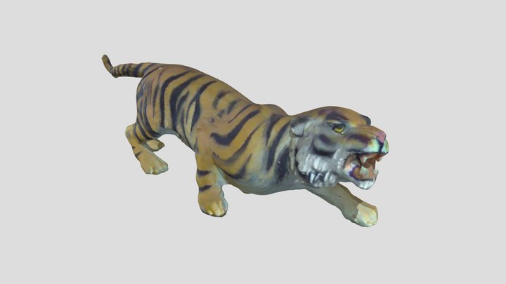Tiger 3D Model