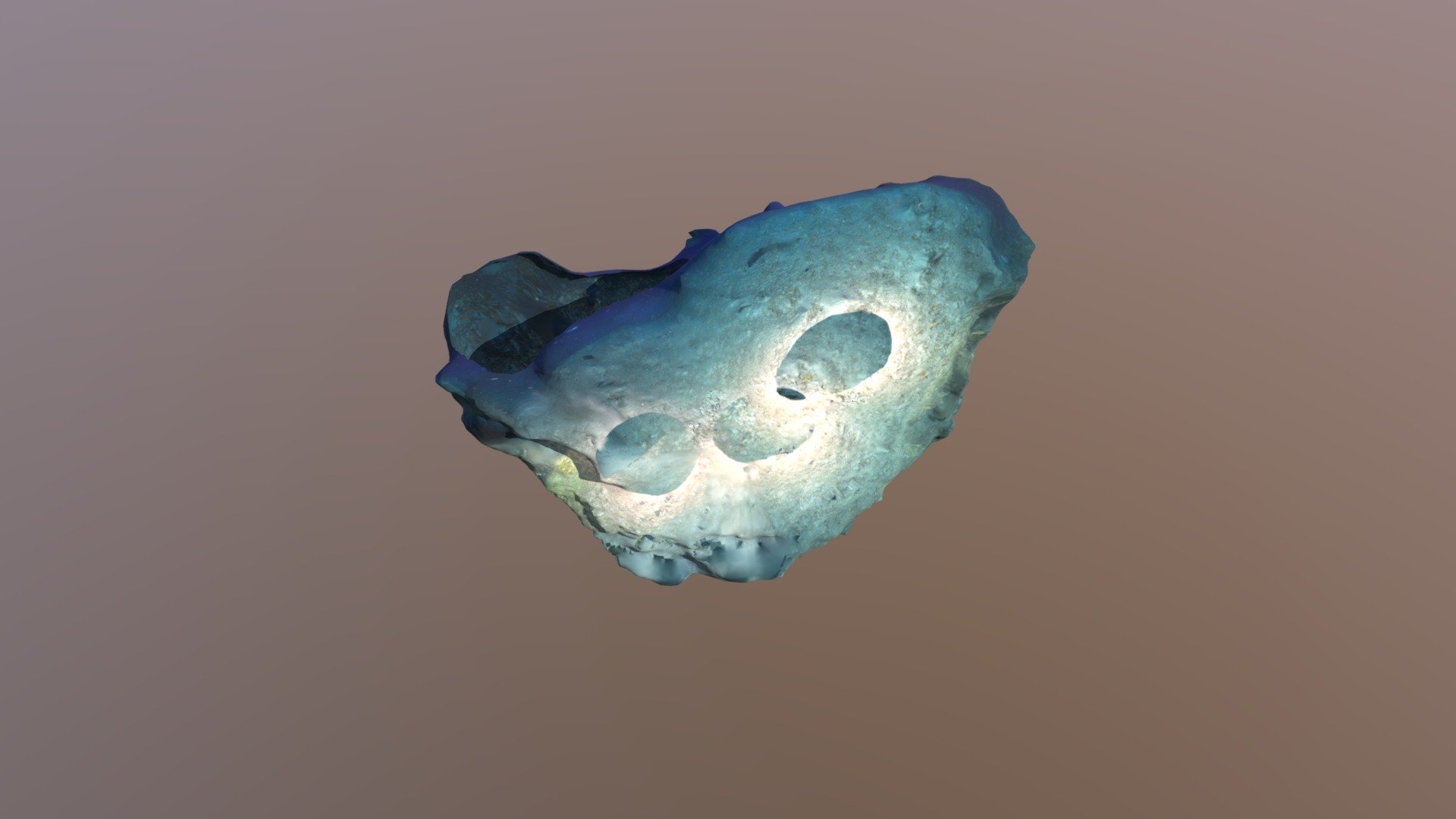 Cavitée des éponges 3 d