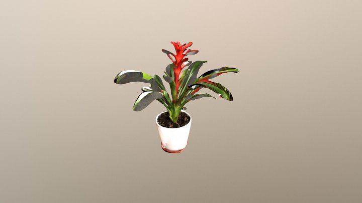 Object 3D Model
