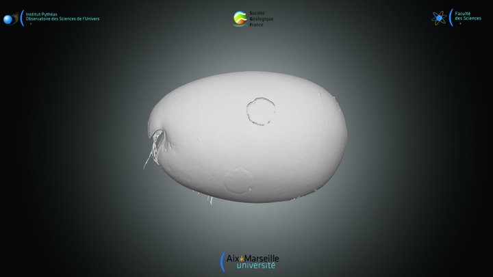 Ostracode - Vargula hilgendorfii – Kostenloses 3D-Modell STL