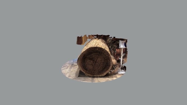 Big trunk in Musea 3D Model