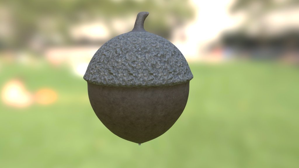 Achurn Or Acorn - 3D Model By Thelaughingdingo [4f31027] - Sketchfab