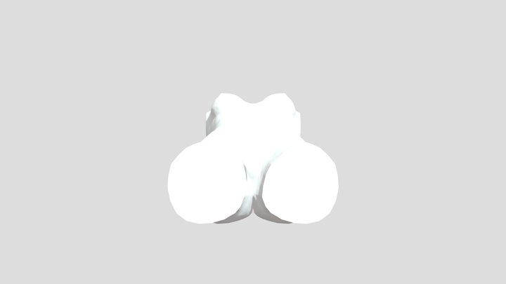 TORSO 3D Model