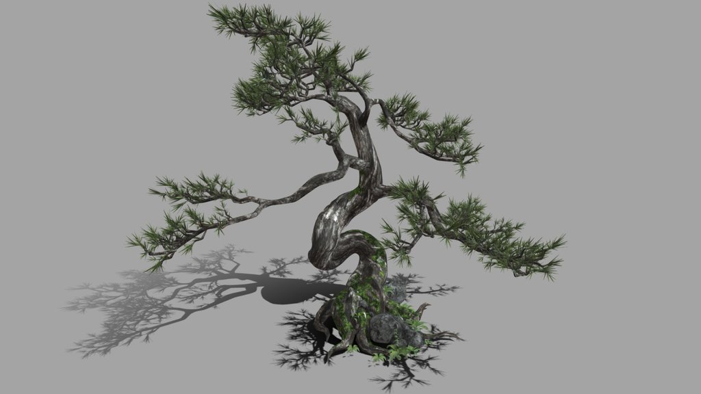 pine