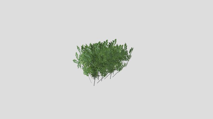 Bush2 3D Model