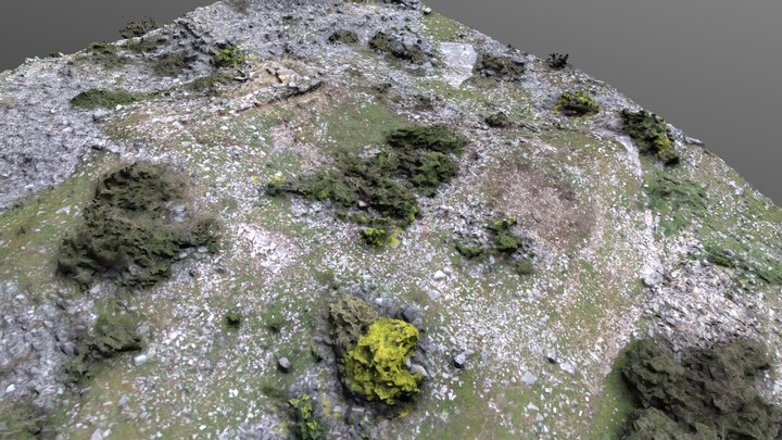Kala research area (2019 season) 3D Model